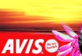 Avis Costa Rica